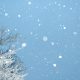 Winterdienst