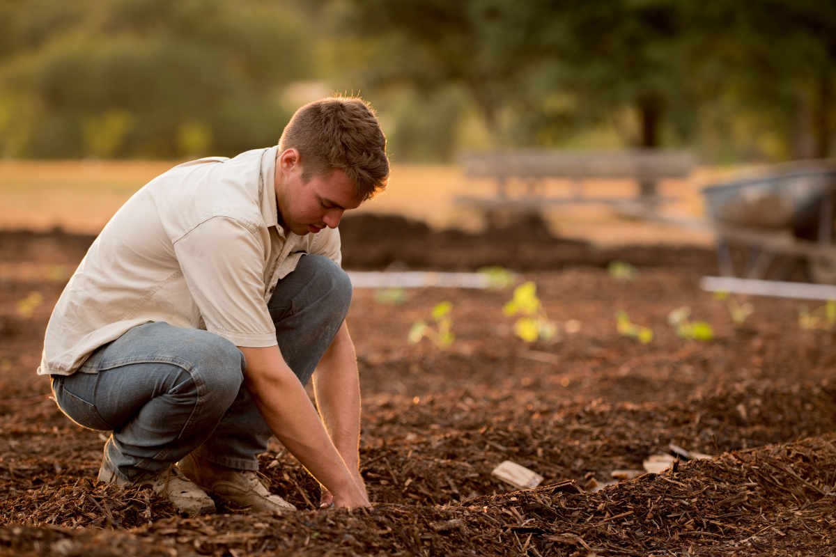 em-leistungen-gartenbau em-leistungen-gartenbau